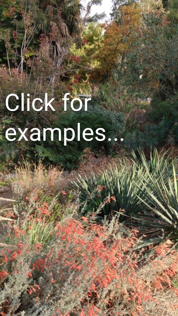 Click for examples...